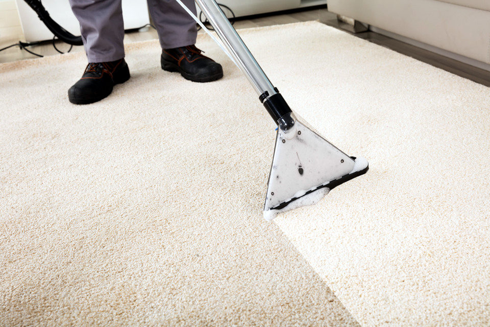 Carpet Cleaning Services