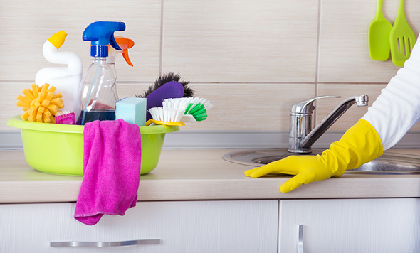 Domestic Cleaning Services