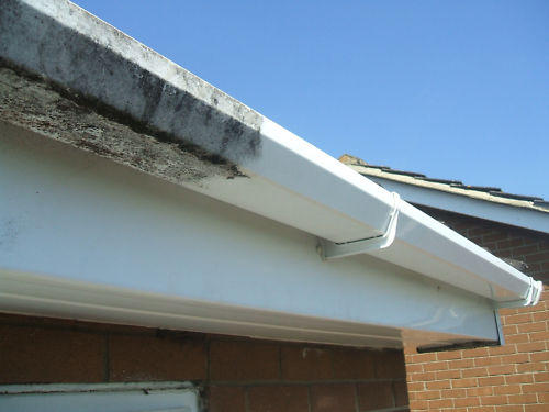 Soffit, facia and gutter cleaning